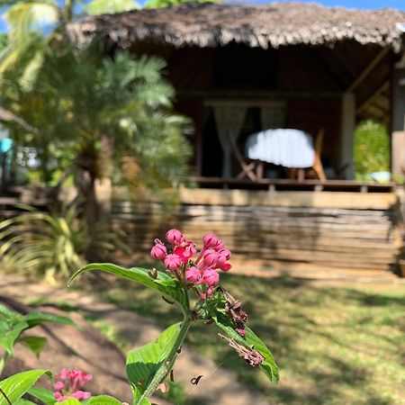 Les Jardins D'Ankify Bed & Breakfast Andimaka Eksteriør bilde
