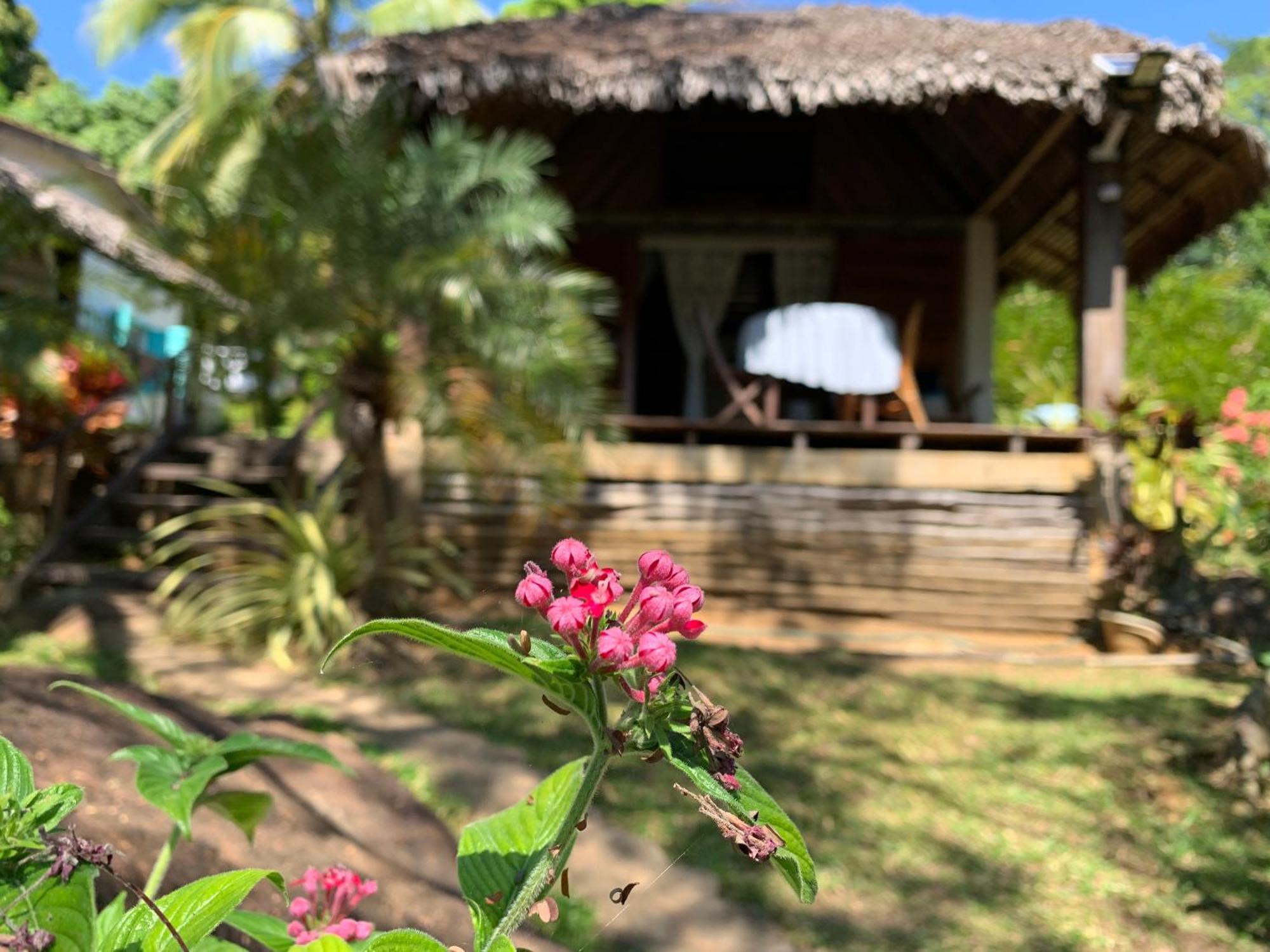 Les Jardins D'Ankify Bed & Breakfast Andimaka Eksteriør bilde