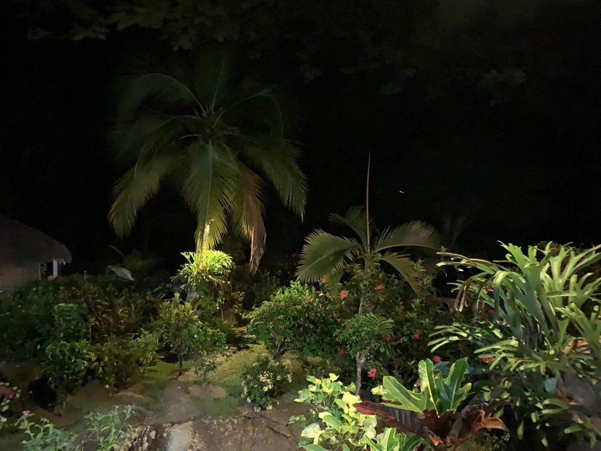 Les Jardins D'Ankify Bed & Breakfast Andimaka Eksteriør bilde