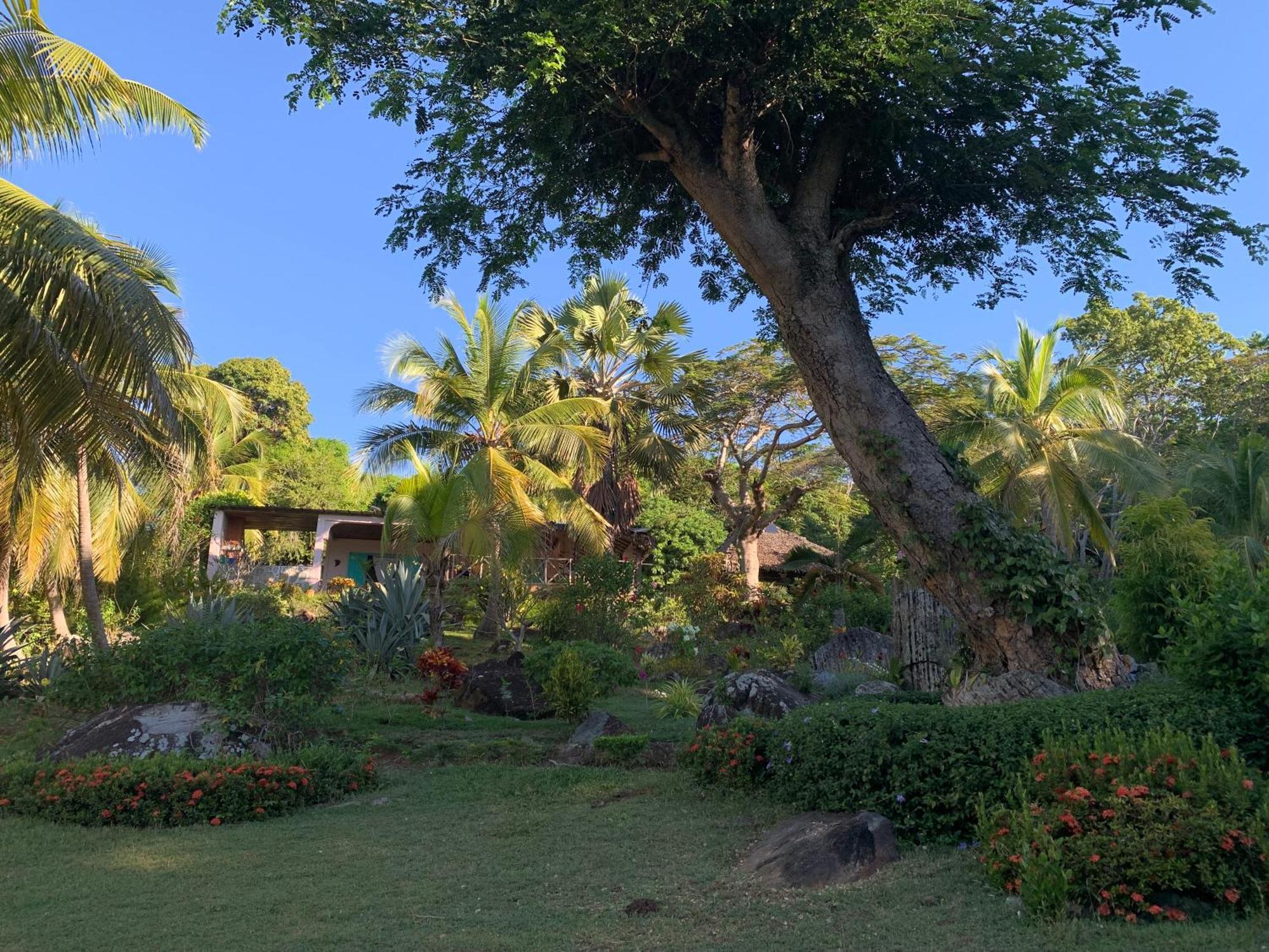 Les Jardins D'Ankify Bed & Breakfast Andimaka Eksteriør bilde