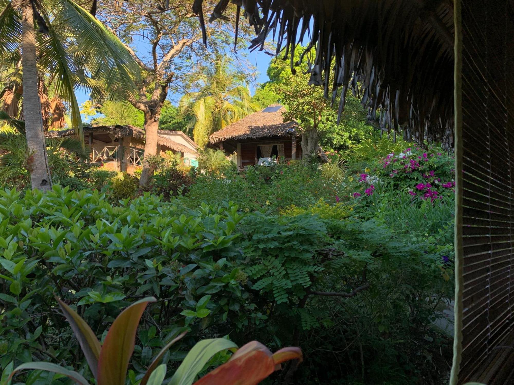 Les Jardins D'Ankify Bed & Breakfast Andimaka Eksteriør bilde